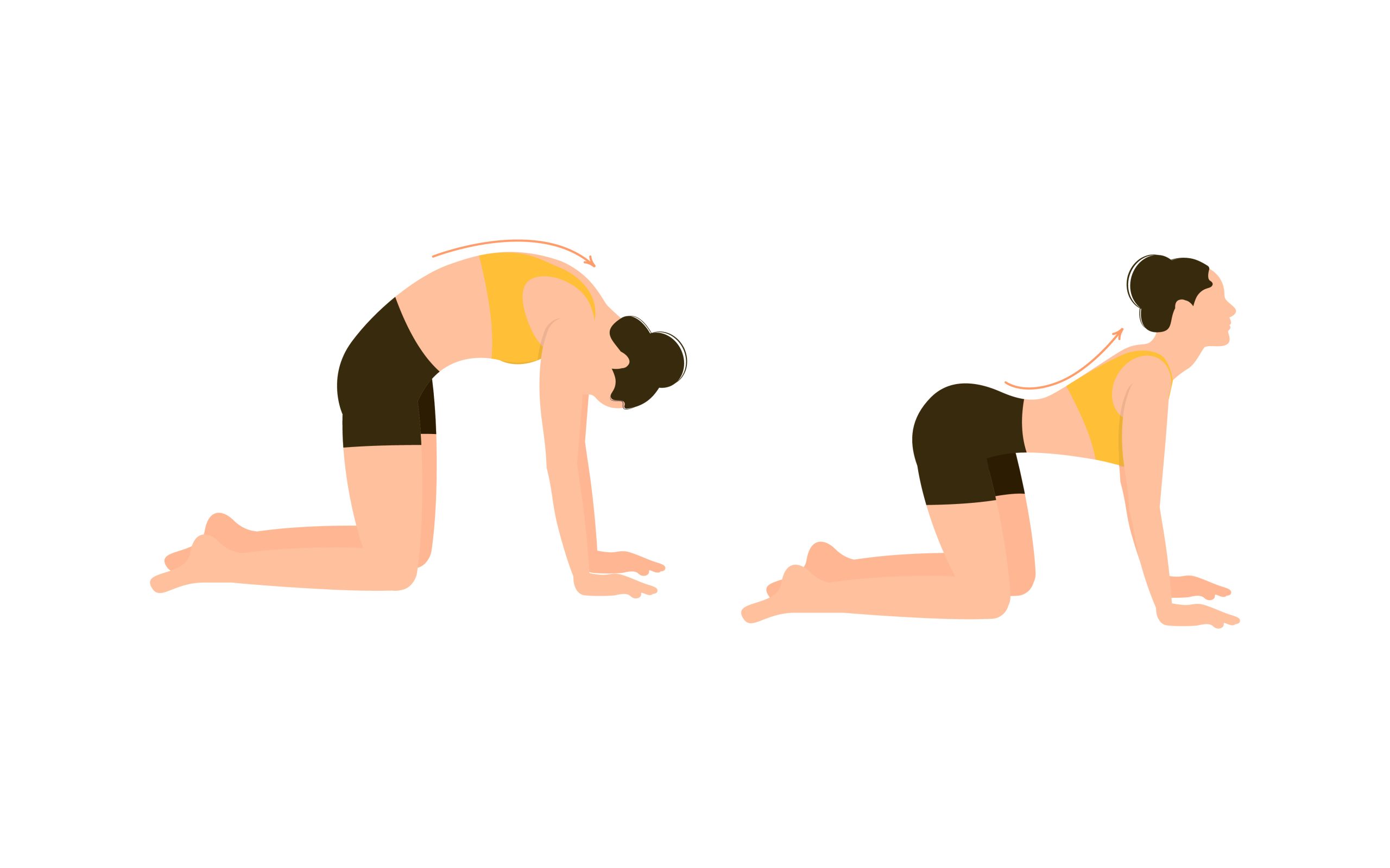 Chat yoga posture sciatique